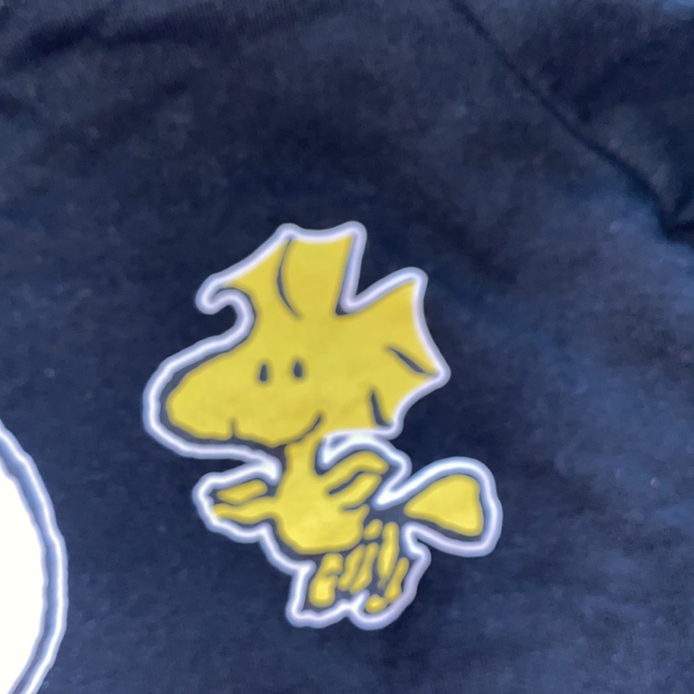 Peanuts Snoopy and Woodstock black Sequin rainbow graphic Sweatshirt - Picture 6 of 11